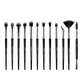12 Pcs Pro-2 Brush Set